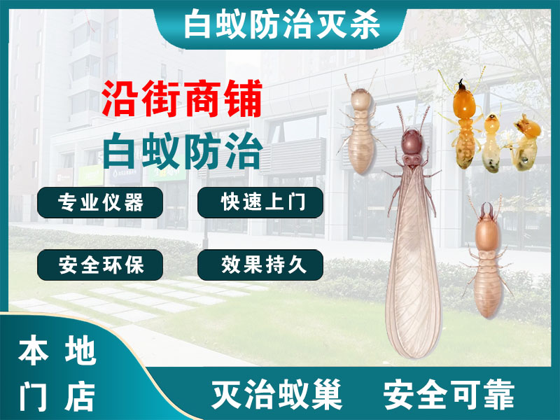 常州沿街商铺白蚁防治