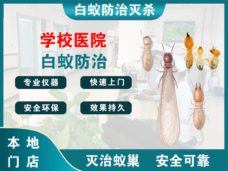 常州学校医院白蚁防治