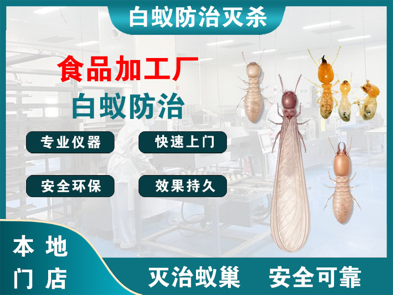 常州食品加工厂白蚁防治