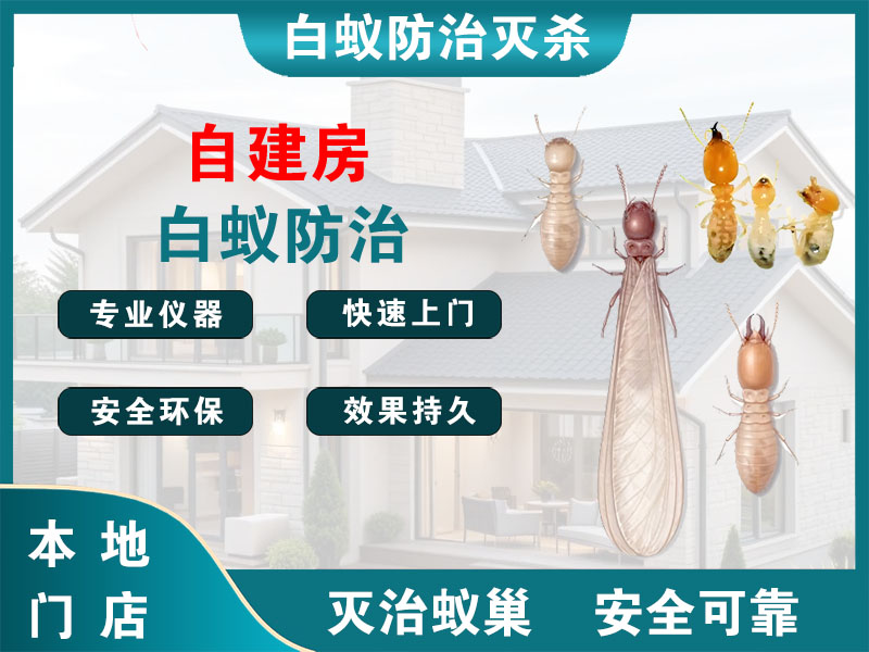 常州自建房白蚁防治