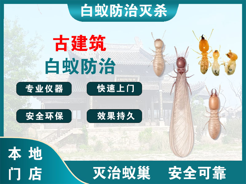 常州古建筑白蚁防治