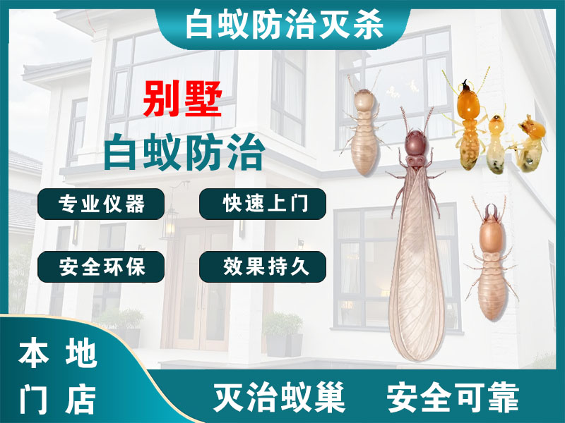 常州别墅白蚁防治